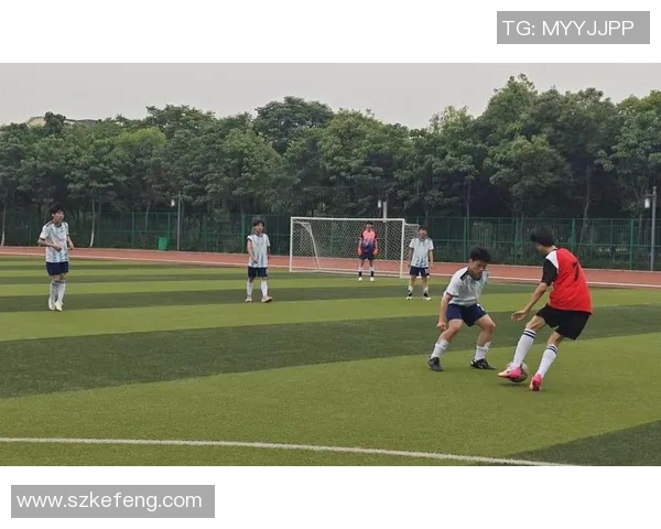 戴尔在赛场上的精湛技艺展现与风采瞬间诠释足球魅力